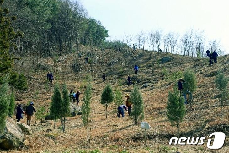  전북 정읍시는 임산물의 경쟁력을 높이고 지역 대표 임산물 발굴을 위해 2024년 산림자원 특화사업을 공모한다.&#40;정읍시 제공&#41;2024.1.4/뉴스1