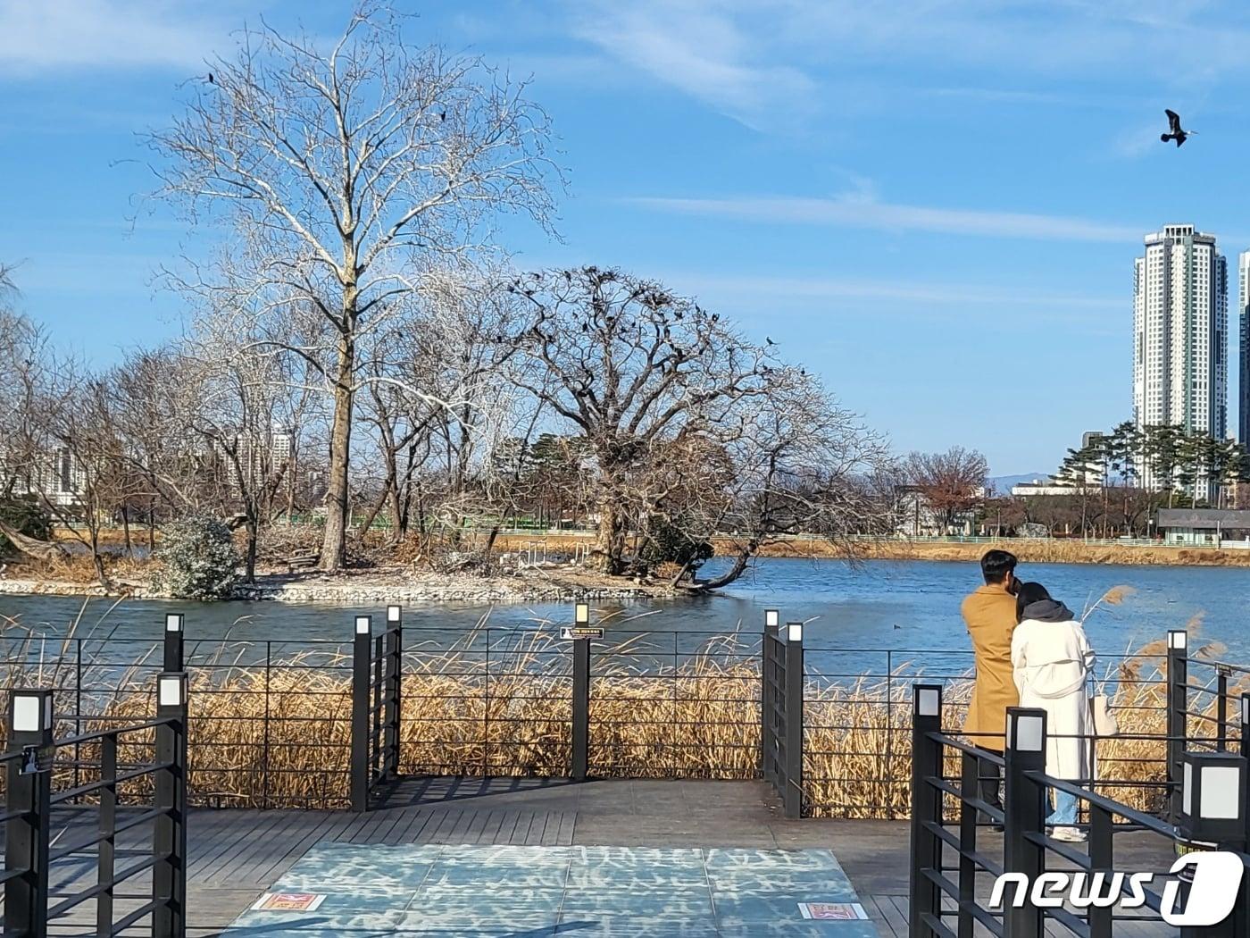 6일 오후 대구 대표관광지인 수성못에서 주말을 보내고 있는 시민들. 2023.1.6/뉴스1 ⓒ News1 이성덕 기자