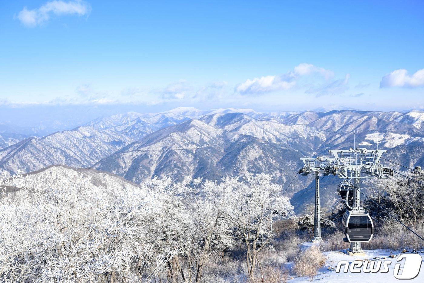 강원 정선 가리왕산 케이블카에서 바라본 설경. &#40;뉴스1 DB&#41;