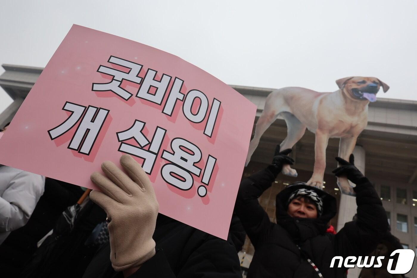 개 식용 종식을 위한 국민행동 활동가들이 9일 서울 여의도 국회 본관 계단 앞에서 개식용 종식 특별법 제정 환영 기자회견을 하고 있다. 2024.1.9/뉴스1 ⓒ News1 김도우 기자