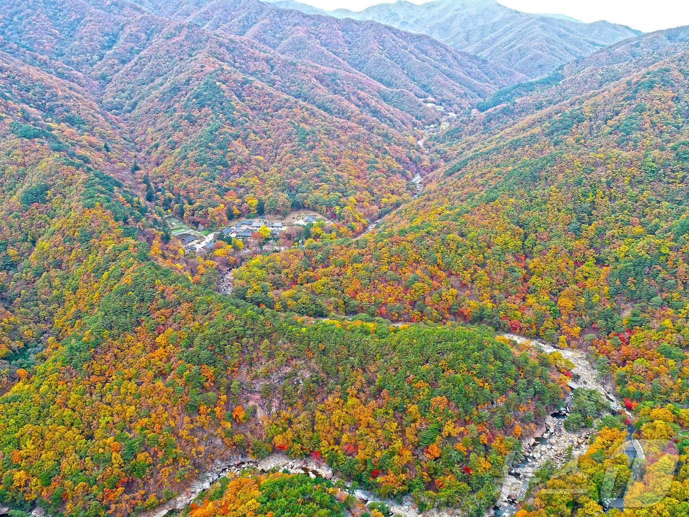 산청 대원사 계곡길&#40;산청군 제공&#41;.