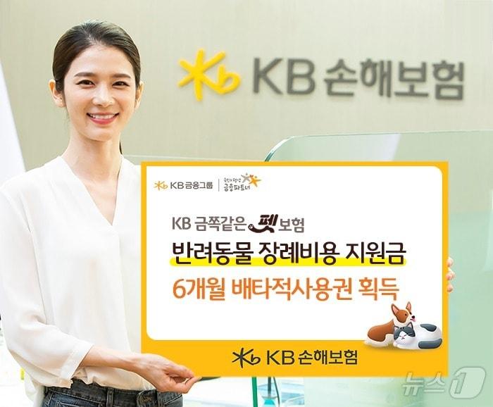 KB손해보험 반려동물 장례비용 지원금 배타적사용권 획득/사진제공=KB손해보험