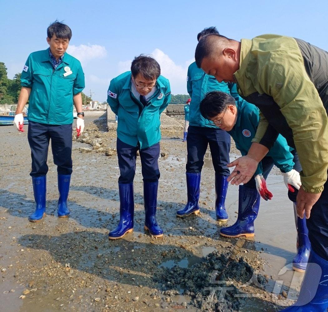 전형식 부지사&#40;왼쪽 두번째&#41;와 충남도 관계자들이 가로림만에서 폐사 바지락을 살펴보고 있다.&#40;충남도 제공&#41; /뉴스1