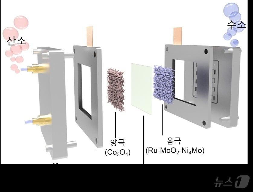 촉매를 적용한 음이온교환막&#40;AEM&#41; 수전해 시스템 모식도. &#40;표준연 제공&#41;/뉴스1