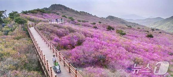 2021년 열린관광지에 선정된 대구 비슬산 군립공원&#40;한국관광공사 제공&#41;