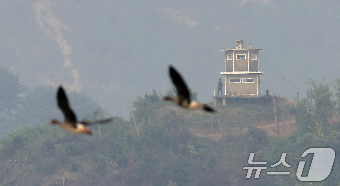 북한의 경의선·동해선 남북 연결도로 폭파로 남북 관계가 완전한 단절 국면으로 치닫고 있는 16일 경기도 파주시 접경지역에서 바라본 북한군 초소에서 군인이 주변을 살피고 있다. 북한은 전날 낮 12시경 경의선·동해선 남북 연결 도로 MDL&#40;군사분계선&#41; 이북 일북 구간을 폭파하고, 이후 중장비를 이용해 추가 작업을 진행했다. 2024.10.16/뉴스1 ⓒ News1 박정호 기자