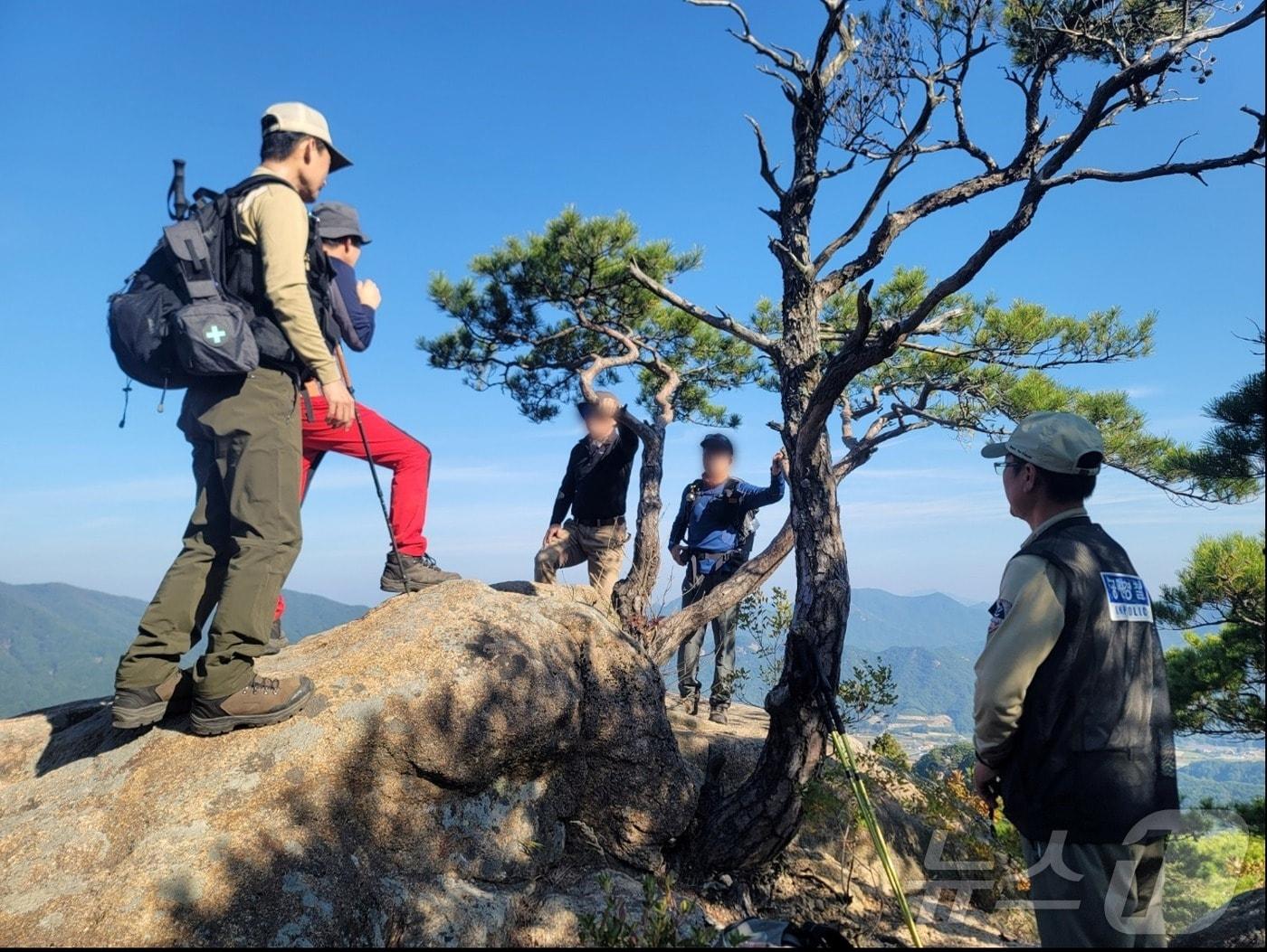 속리산국립공원 비법정 탐방로 단속 모습 &#40;속리산국립공원사무소 제공&#41; /뉴스1 