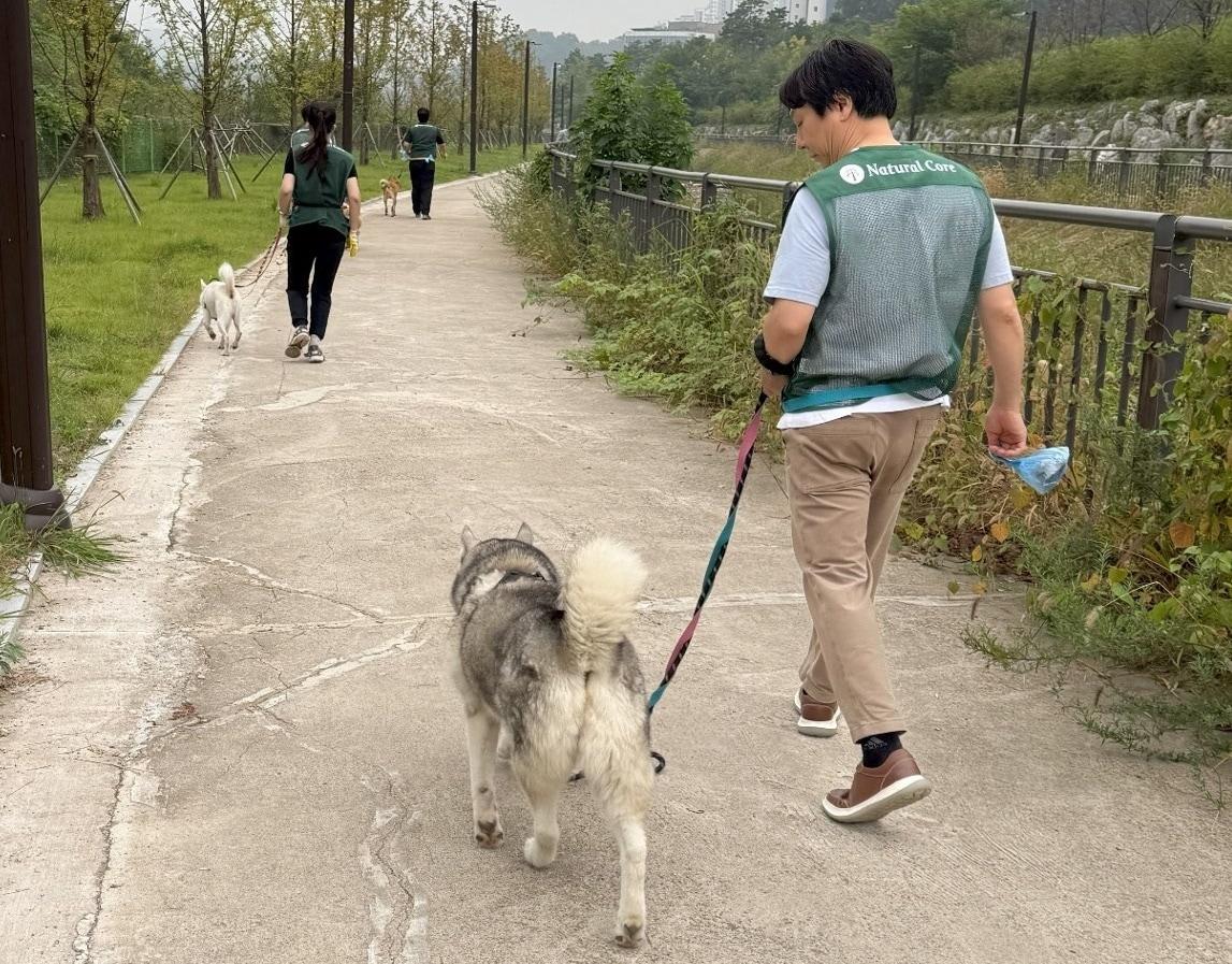 네츄럴코어 임직원들이 지난 15일 경기도 시흥시에 위치한 동물보호시설 유엄빠에 방문해 후원 및 현장 봉사활동을 진행했다. &#40;네츄럴코어 제공&#41; ⓒ 뉴스1