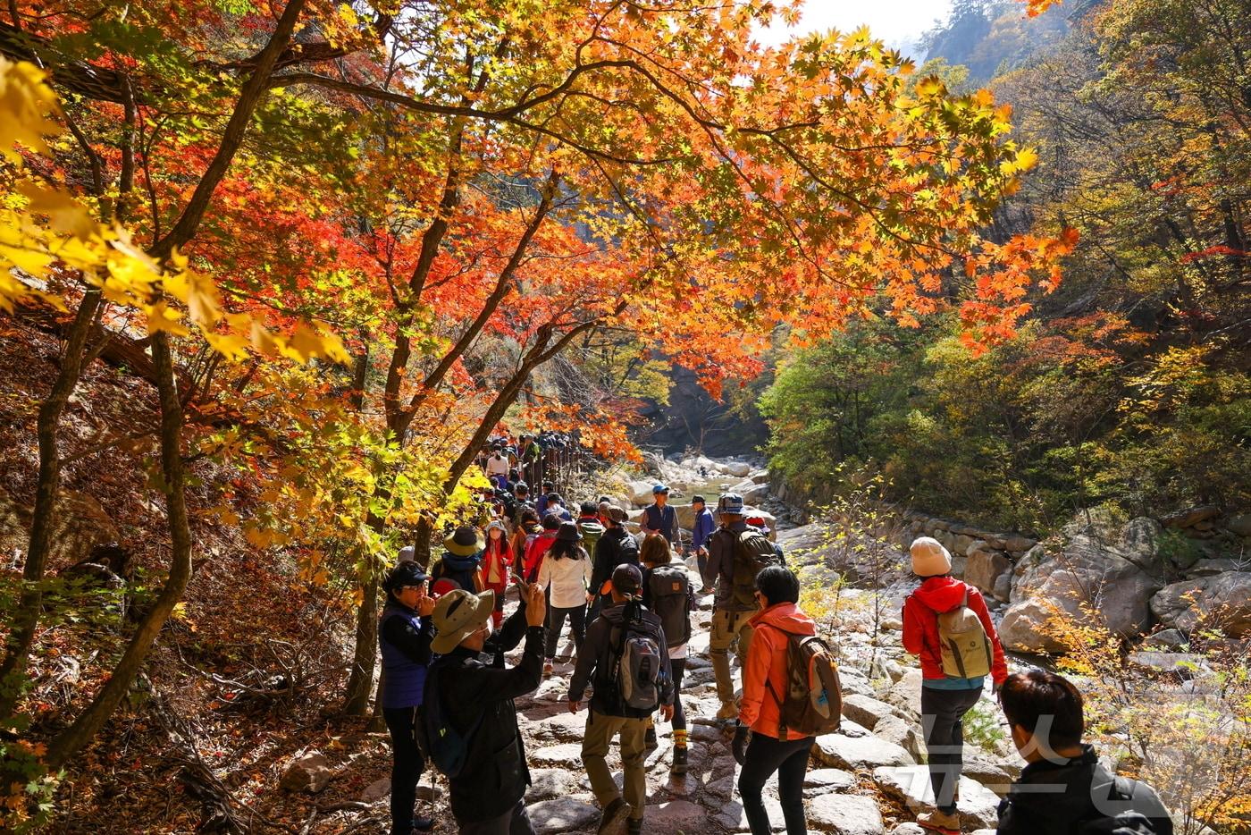 설악산 오색지구 단풍 나들이객 모습.&#40;양양군 제공&#41; 2024.10.17/뉴스1