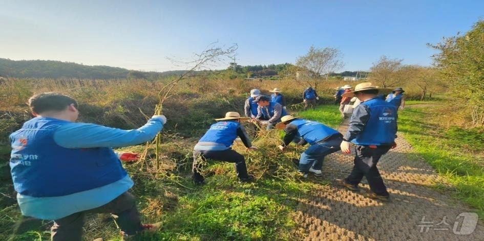 한국도로공사 강원본부가 직원 15명이 지난 17일 강릉 ‘순포호’ 주변에서 ‘동해안 석호 살리기’ 캠페인에 나섰다. &#40;한국도로공사 강원본부 제공&#41; 2024.10.18./뉴스1