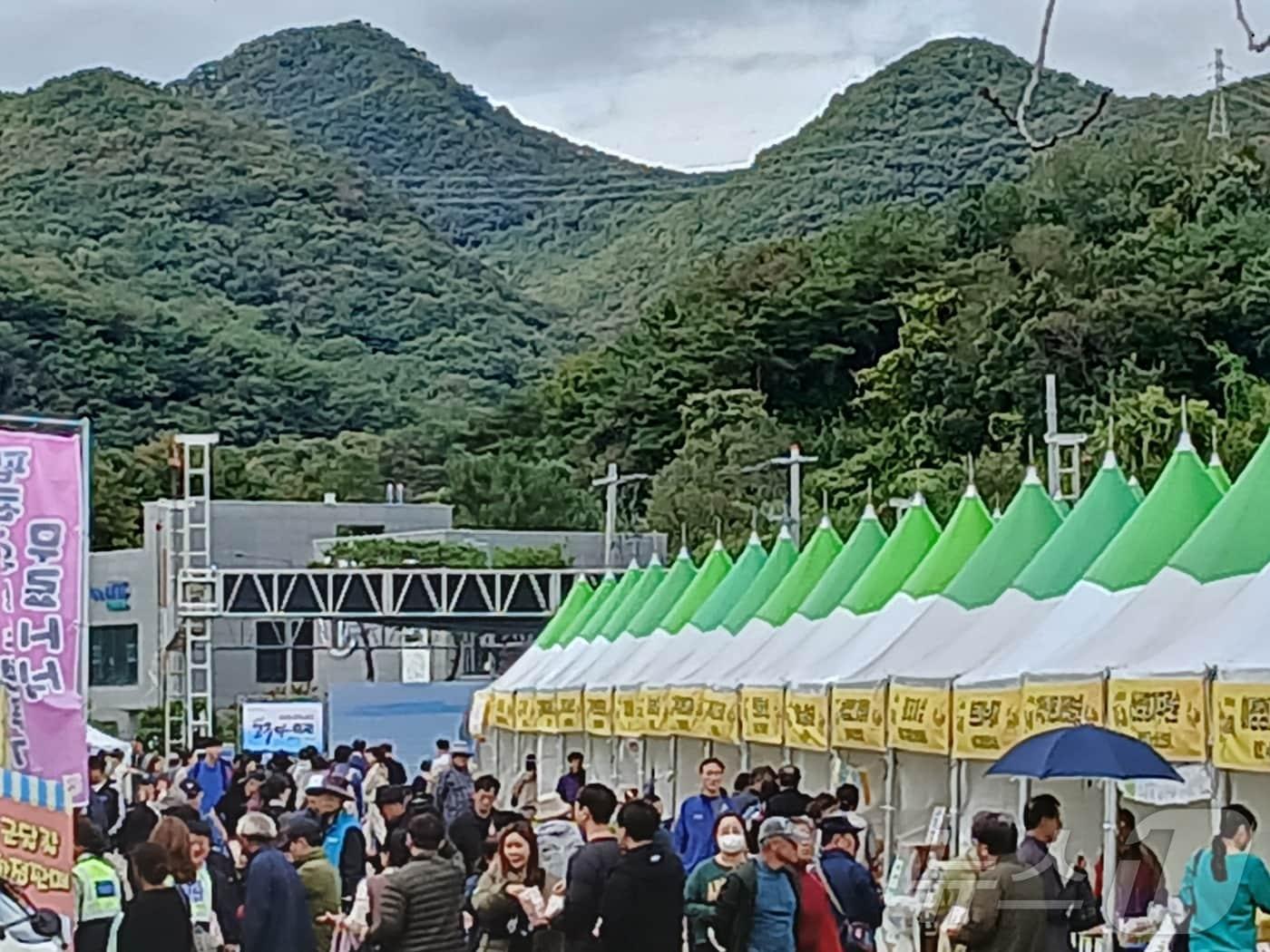 19일 낮 12시쯤 강원 원주시 간현관광지 주변에서 ‘원주농협 치악산 고구마축제’가 열리는 모습. 2024.10.19/뉴스1 신관호 기자