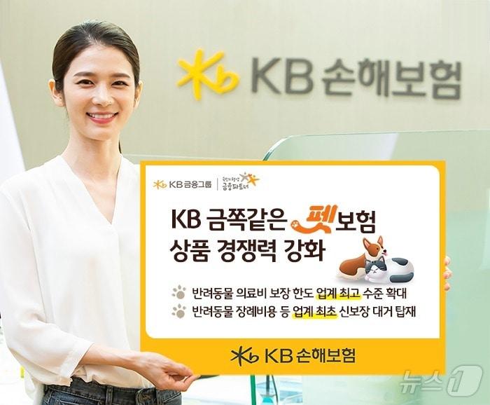 상품경쟁력 강화한 KB 금쪽같은 펫보험 개정 출시/사진제공=KB손해보험