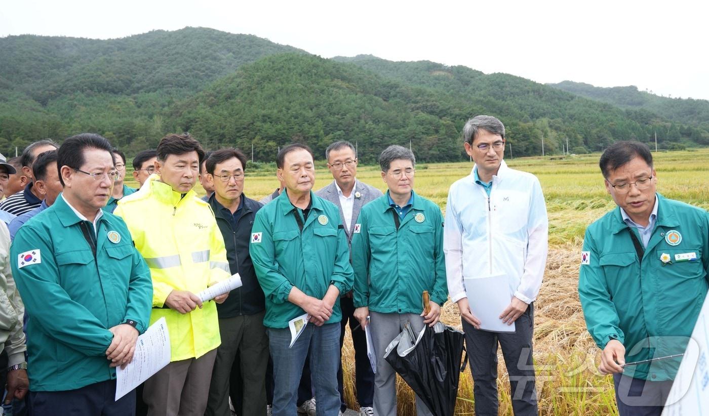 김영록 전남도지사가 최근 벼멸구 발생 및 호우피해 현장인 보성군 복내면 일봉리 일원을 방문해 주요 농작물 피해현황 청취 및 피해현장을 둘러보고 있다.&#40;전남도 제공&#41; 2024.10.2/뉴스1