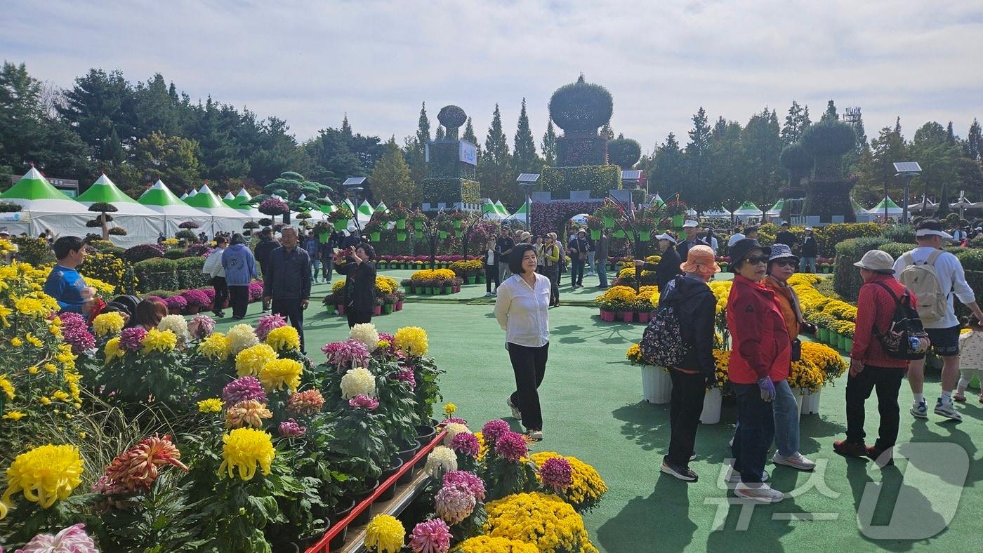 20일 익산 중앙체육공원 일대에서 진행되는 익산 천만송이 국화축제 현장. 2024.10.20/뉴스1 신준수 기자