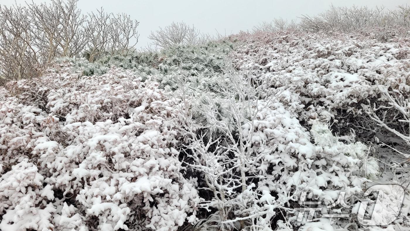 20일 설악산 중청대피소 인근에 첫눈이 쌓여 있다. 설악산국립공원사무소에 따르면 전날 오후 7시 30분부터 내린 눈은 이날 오전 7시까지 1㎝ 정도 쌓였다. &#40;설악산국립공원사무소 제공&#41; 2024.10.20/뉴스1 ⓒ News1 신웅수 기자