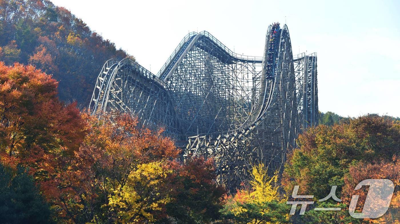 &#40;삼성물산 제공&#41; 2024.10.21/뉴스1