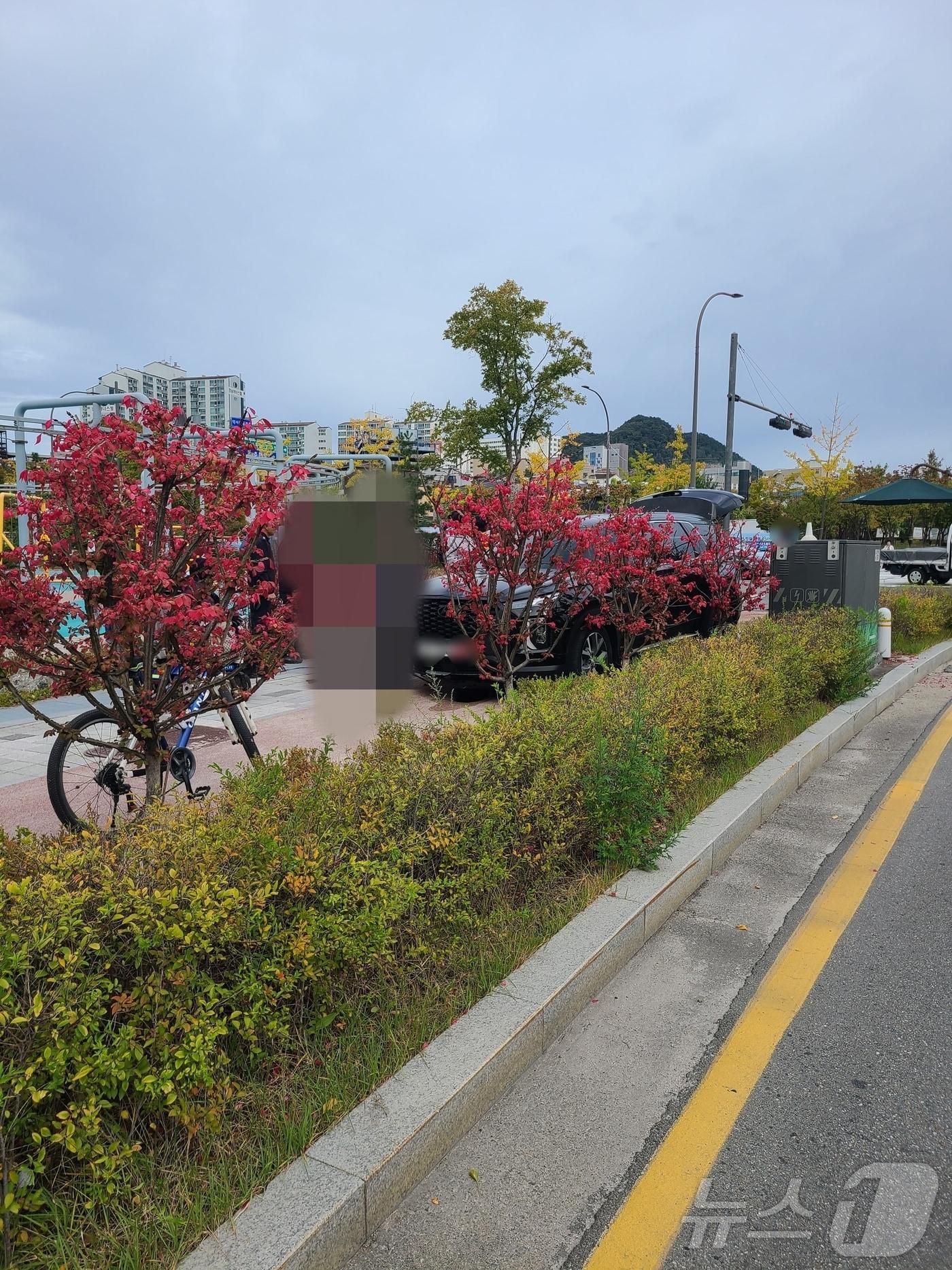 강원 춘천 효자동 교통사고 현장.&#40;강원도소방본부 제공&#41;