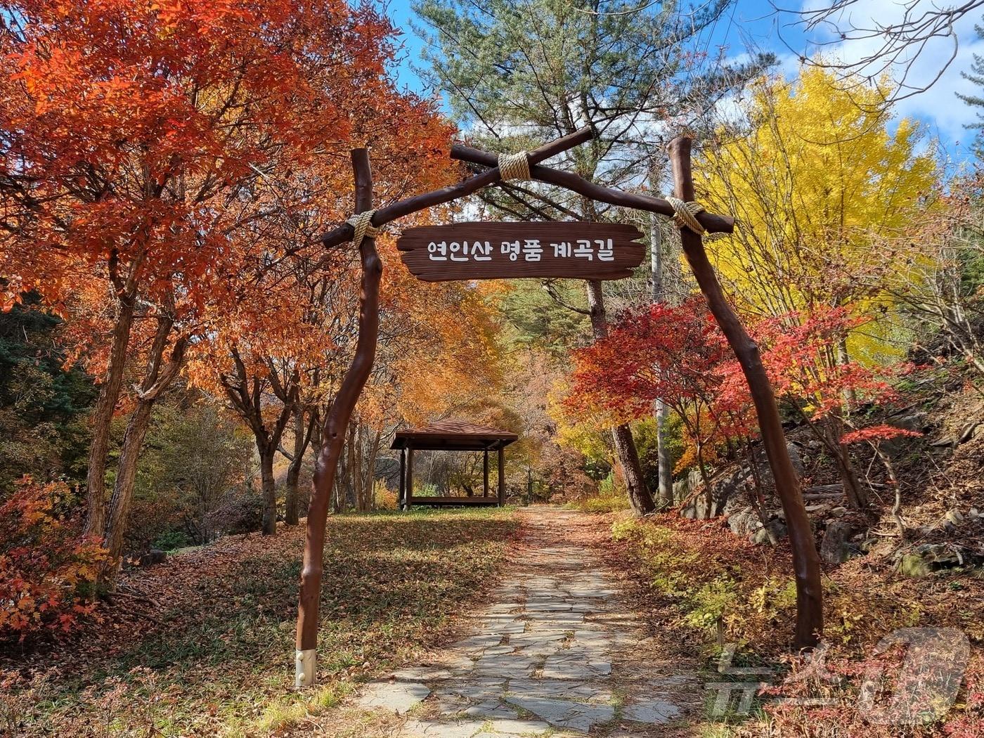  가평 &#39;연인산 명품 계곡길&#39;&#40;산림청 제공&#41;/뉴스1