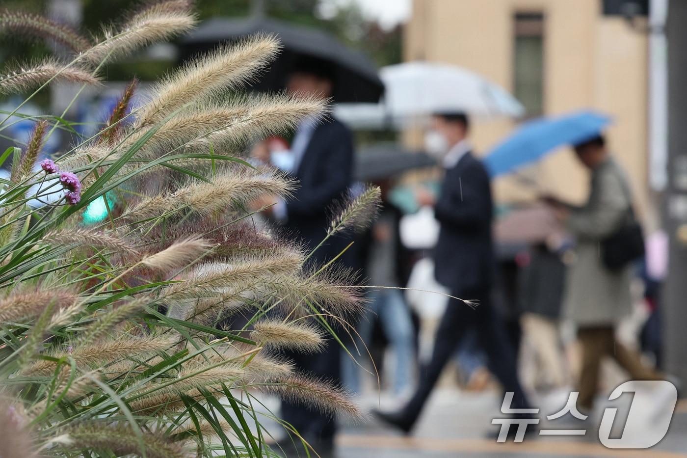 서울 광화문네거리에서 우산을 쓴 시민들이 출근하고 있다. 2024.10.22/뉴스1 ⓒ News1 신웅수 기자