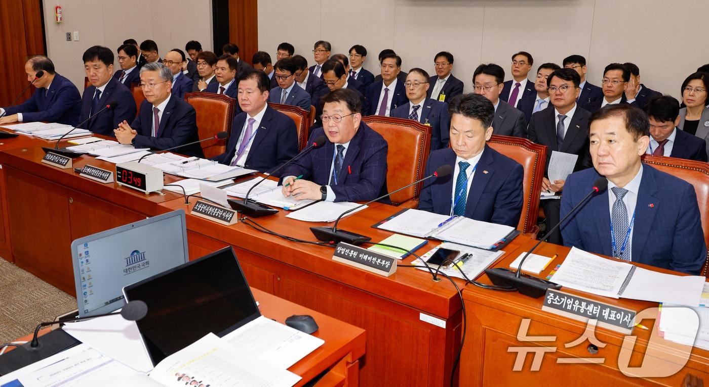 박성효 소상공인시장진흥공단 이사장이 22일 오전 서울 여의도 국회 산업통상자원중소벤처기업위원회에서 열린 중소벤처기업진흥공단·기술보증기금·소상공인시장진흥공단 등 국정감사에서 의원 질의에 답하고 있다. 2024.10.22/뉴스1 ⓒ News1 안은나 기자