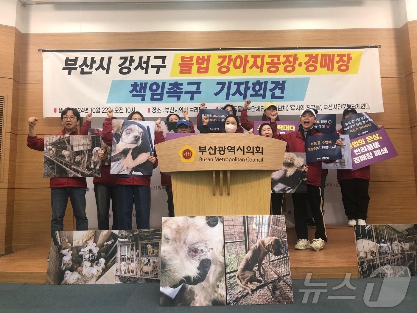 22일 오전 부산시의회에서 동물보호단체가 최근 벌어진 강아지 불법 번식장 사건에 대한 강서구청의 책임을 촉구하는 기자회견을 하고 있다.&#40;루시의친구들 제공&#41;