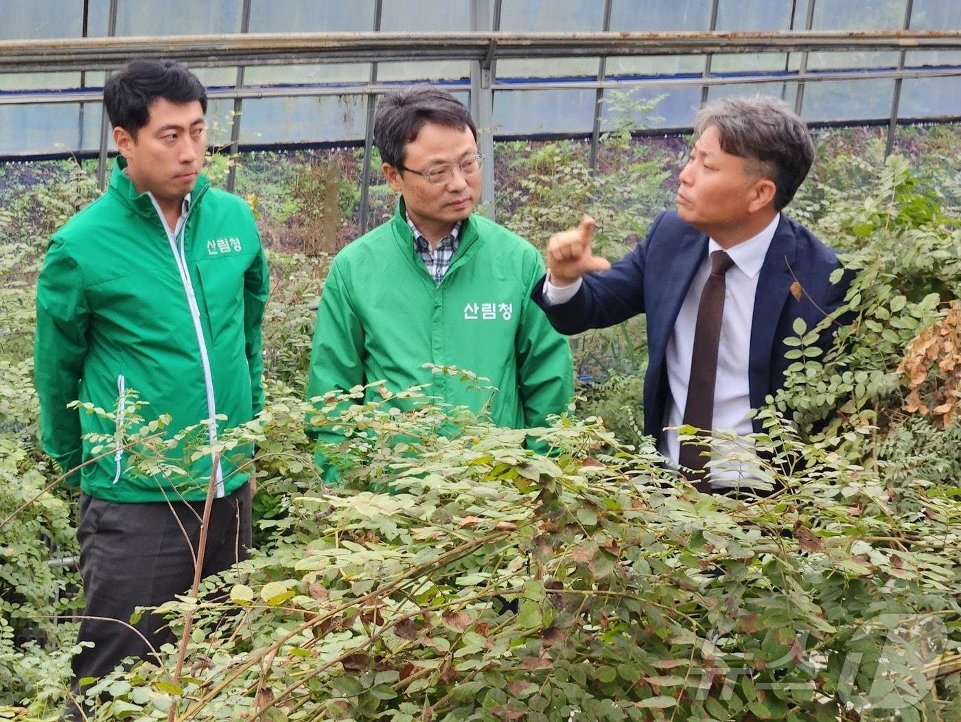 오른쪽부터 케어팜 김태준 대표, 산림청 박은식 산림산업정책국장, 산림청 김관호 산림정책과장.&#40;산림청 제공&#41;/뉴스1