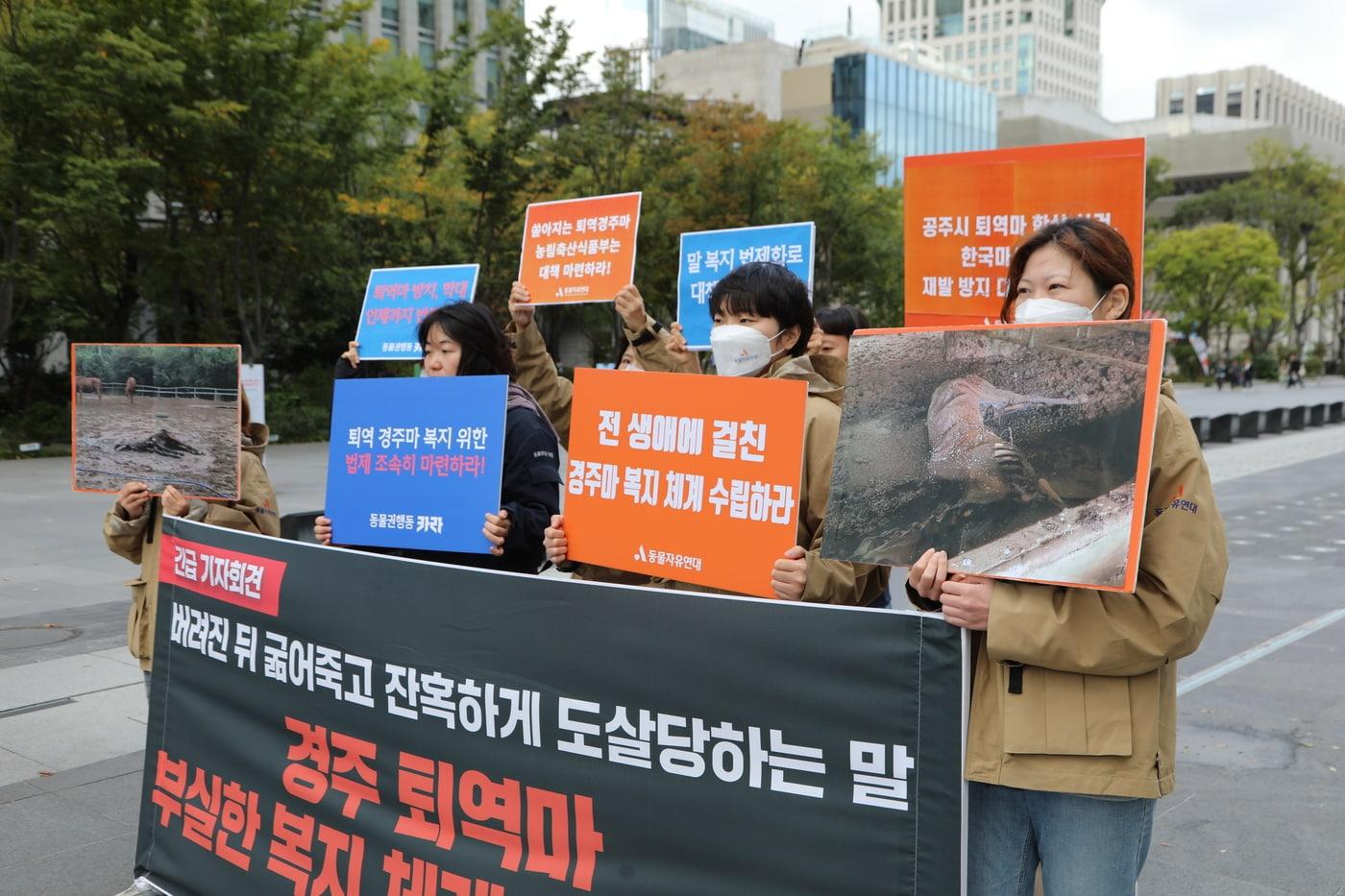 15개 동물·환경단체로 구성된 말 복지 수립 범국민대책위원회는 23일 광화문에서 기자회견을 열고, 말 학대 방지 대책 및 말 복지 법제화를 촉구했다. &#40;동물자유연대 제공&#41; ⓒ 뉴스1