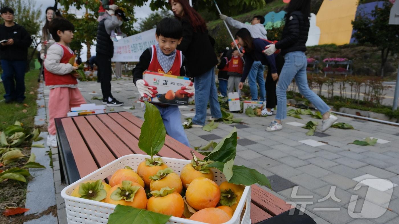 충북 영동군에서 열린 가로수 감 따기 행사에 참여한 한 어린이가 즐거운 한때를 보내고 있다. &#40;영동군 제공&#41; /뉴스1