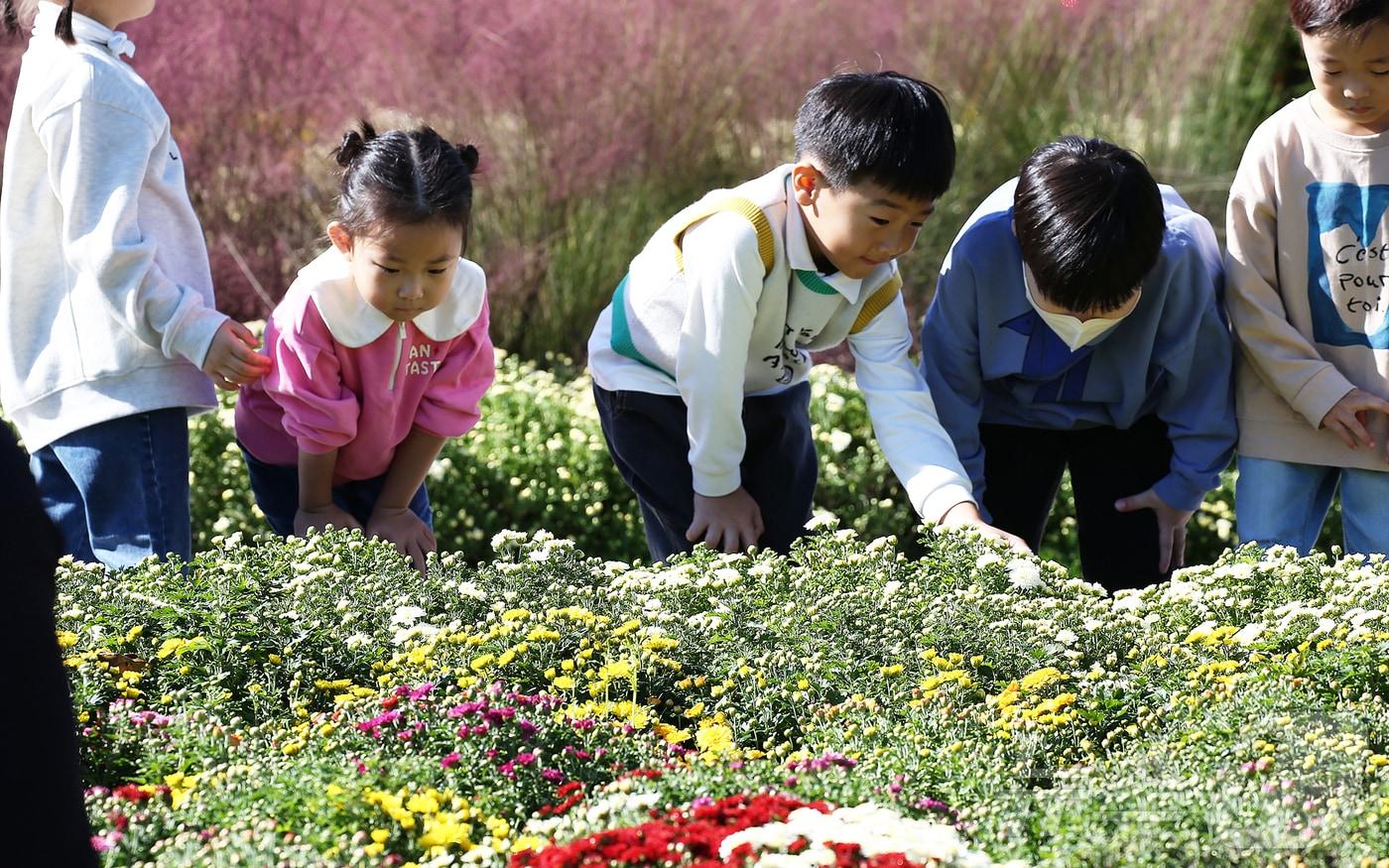 전남 함평에서 열린 2024 대한민국 국향대전에 참여한 어린이들이 포토데이를 즐기고 있다.&#40;함평군 제공&#41;2024.10.24./뉴스1