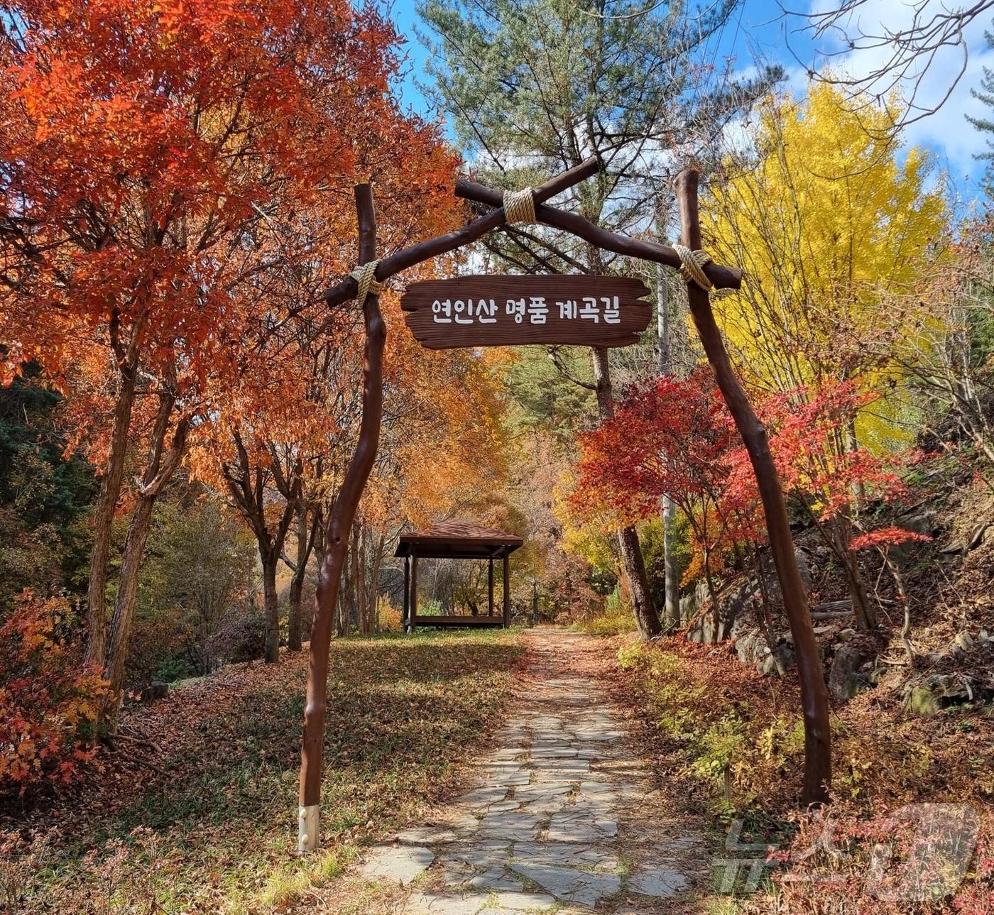 가평 연인산 명품 계곡길 자료사진.&#40;경기도 제공&#41;