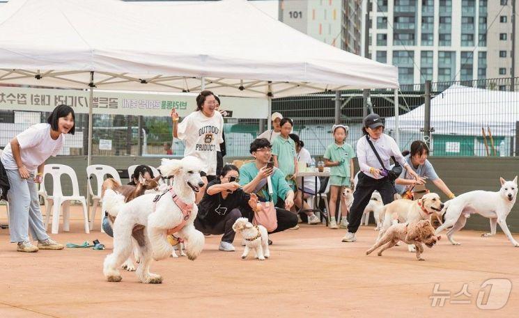  서울 송파구 반려동물 한마당 개최&#40;송파구 제공&#41;