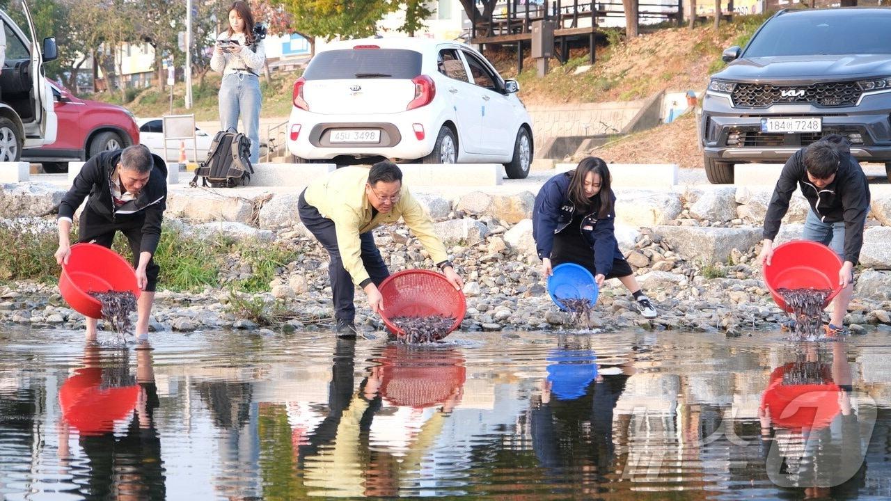 지난해 토종치어 방류 장면&#40;영동군 제공&#41; /뉴스1 