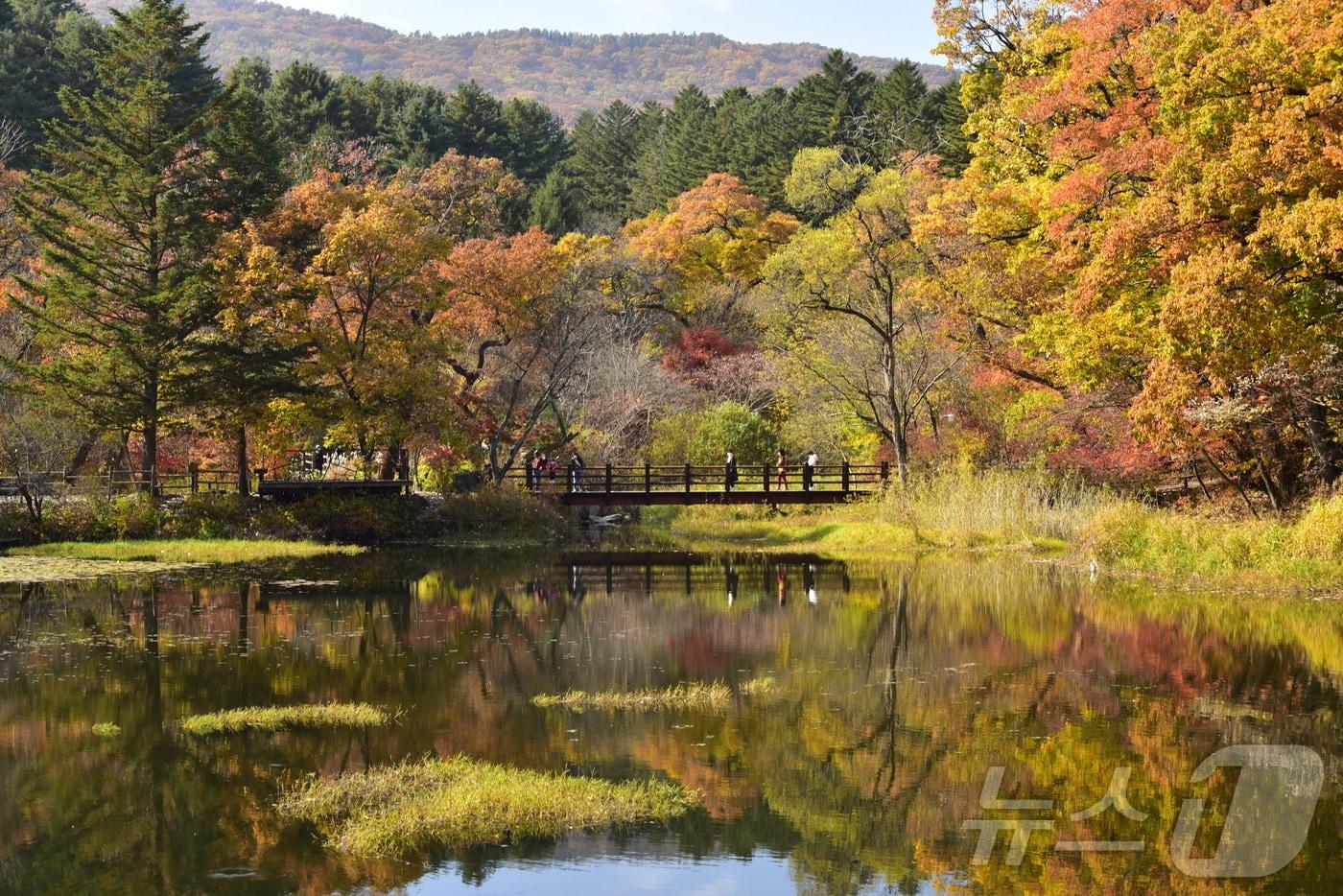 국립수목원 육림호 주변 가을 풍경&#40;국립수목원 제공&#41;