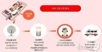 AI 돌봄서비스 체계도.&#40;대전도시공사 제공&#41;/뉴스1 