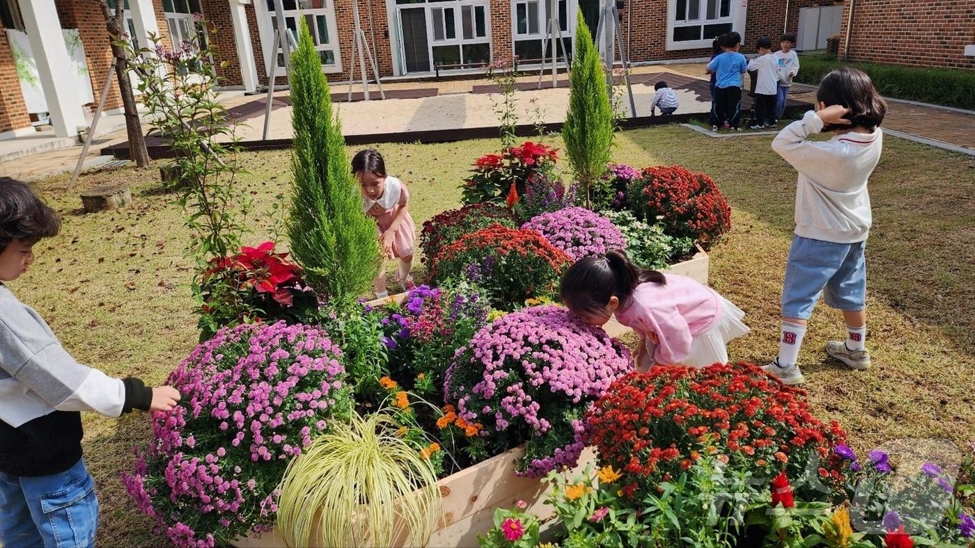 충북교육청은 모두를 위한 탄소 정원 &#39;탄탄숲 시작학교&#39;를 운영한다.&#40;충북교육청 제공&#41;/뉴스1