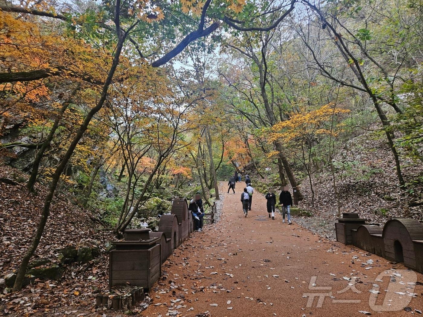 27일 낮 강원 춘천 남산면 봉화산에서 등산객들이 휴일을 맞아 산행을 하고 있다.2024.10.27 한귀섭 기자