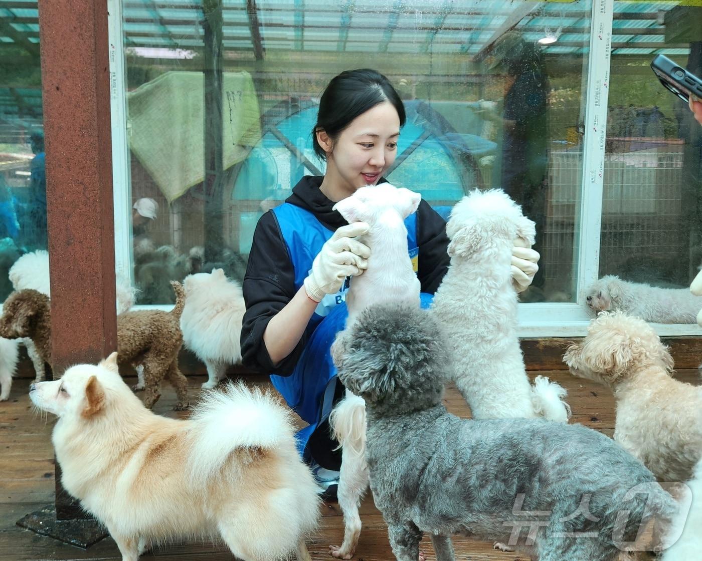 배우 김다솜이 지난 27일 경기 용인시 코리안독스 레인보우쉼터에서 진행되는 봉사 활동에 참여해 강아지들과 시간을 보내고 있다. ⓒ 뉴스1 한송아 기자