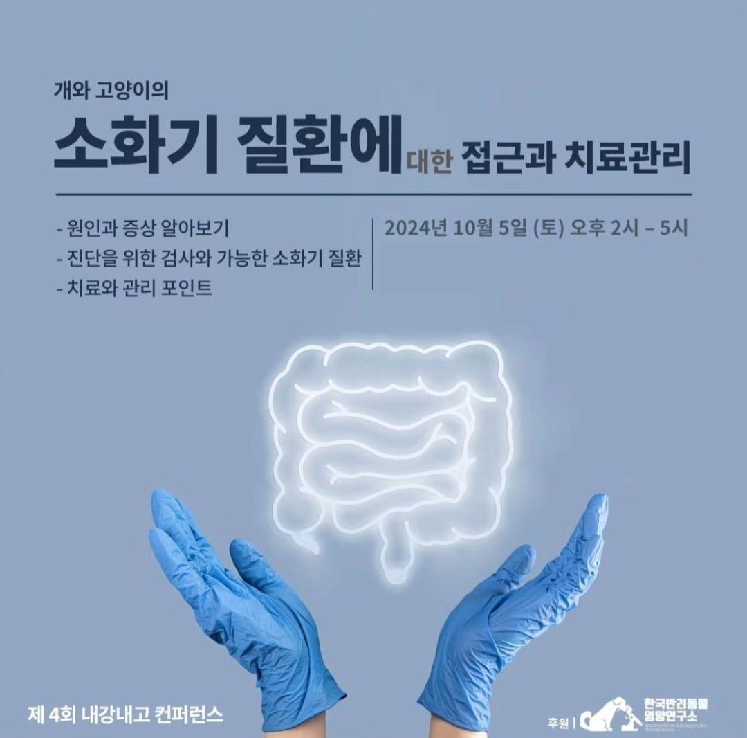 내강내고 포스터 ⓒ 뉴스1