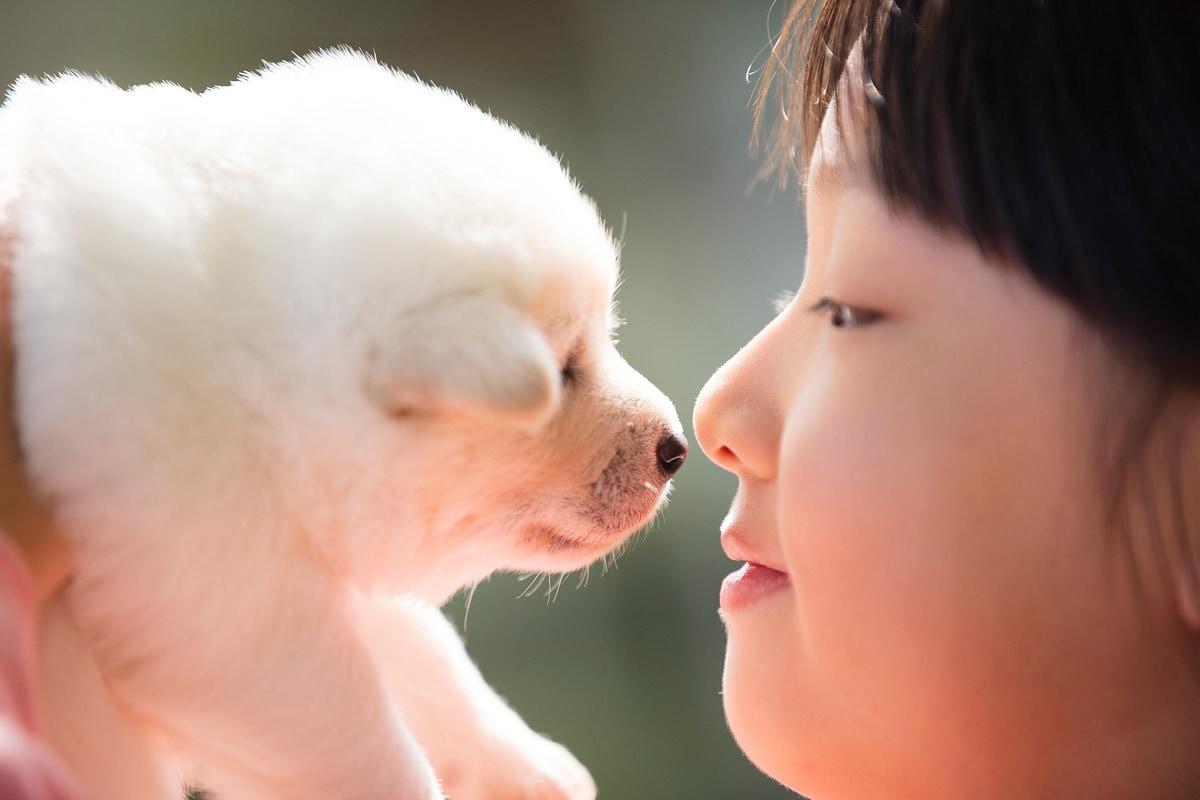 반려견과 사는 것은 다양한 건강상 이점이 있지만 때때로 서로를 아프게 할 수 있는 세균을 옮길 수 있다. &#40;사진 이미지투데이&#41; ⓒ 뉴스1