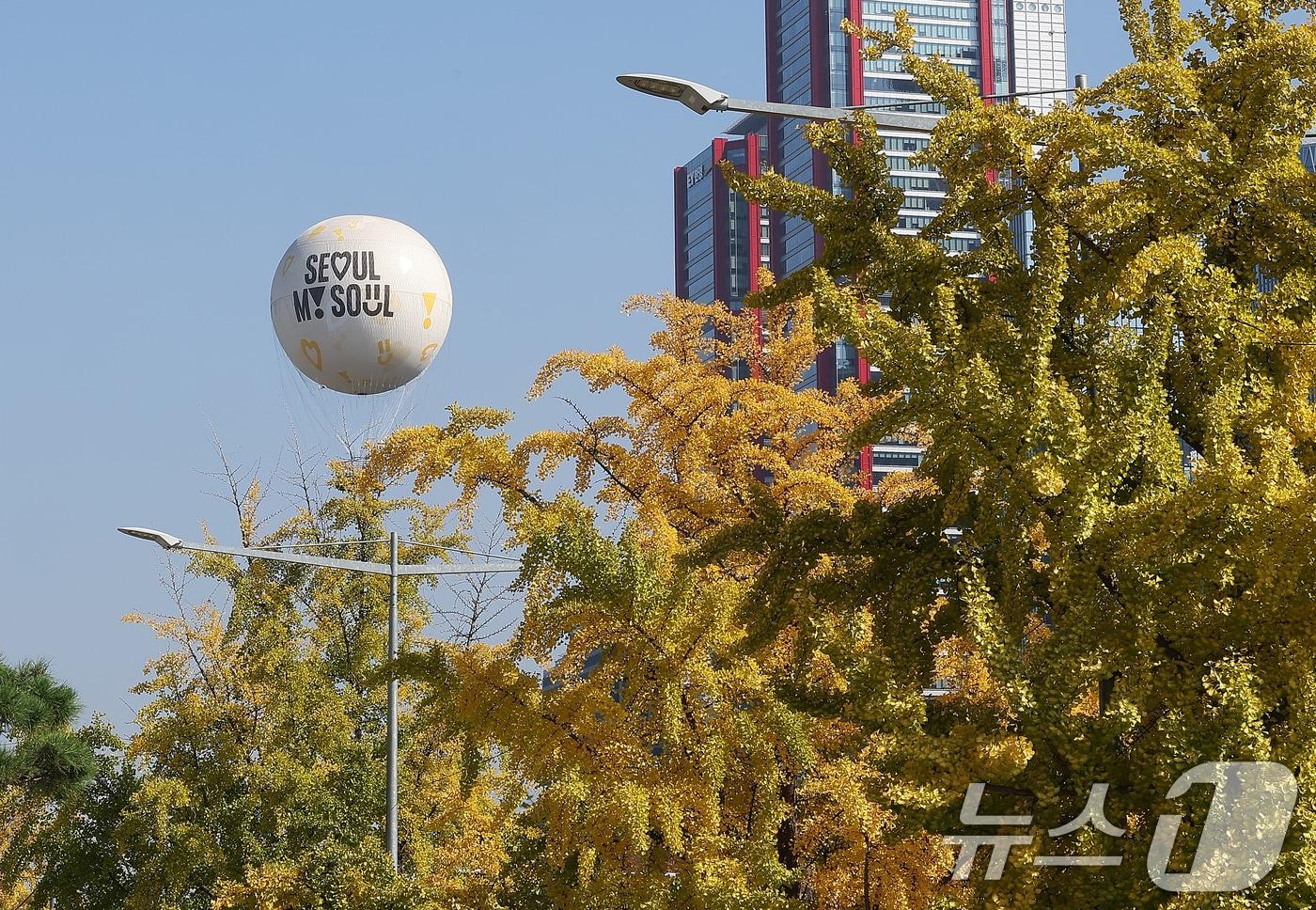 완연한 가을 날씨를 보인 30일 오후 서울 영등포구 여의도 공원에서 노랗게 물든 은행나무 위로 시민들을 태운 계류식 가스기구 &#39;서울달&#39;이 떠오르고 있다. 2024.10.30/뉴스1 ⓒ News1 김진환 기자