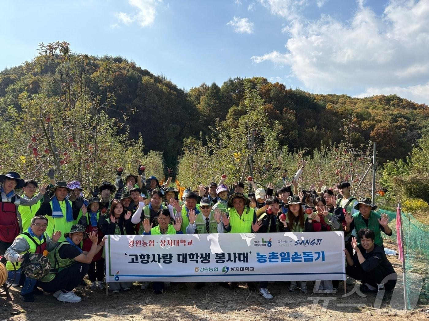 농협중앙회 강원본부와 상지대학교는 30일 원주시 귀래면의 사과 재배 농가에서 농촌일손돕기와 마을 환경정비 활동을 했다.&#40;농협 강원본부 제공&#41; 2024.10.30/뉴스1