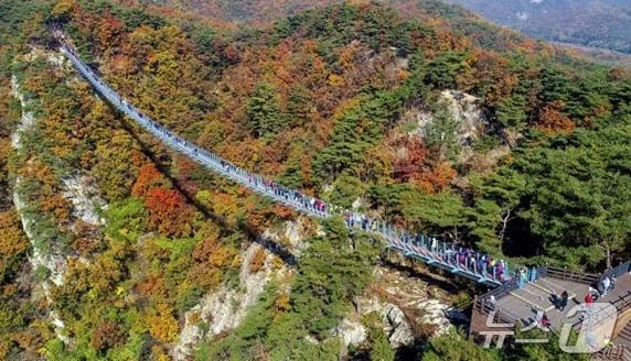 강원 원주시 간현관광지 소금산그랜드밸리 자료사진. &#40;원주시시설관리공단 제공&#41; 2024.10.30/뉴스1