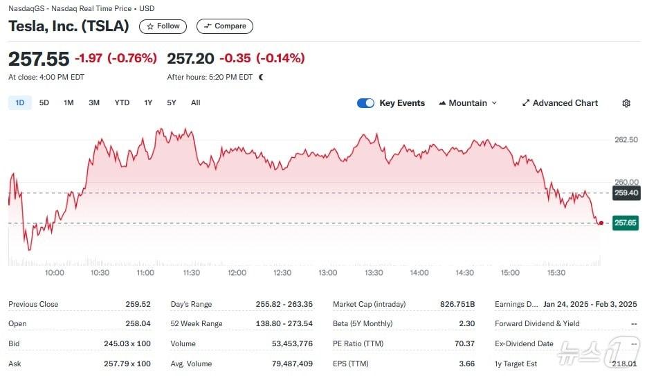 테슬라 일일 주가추이 - 야후 파이낸스 갈무리