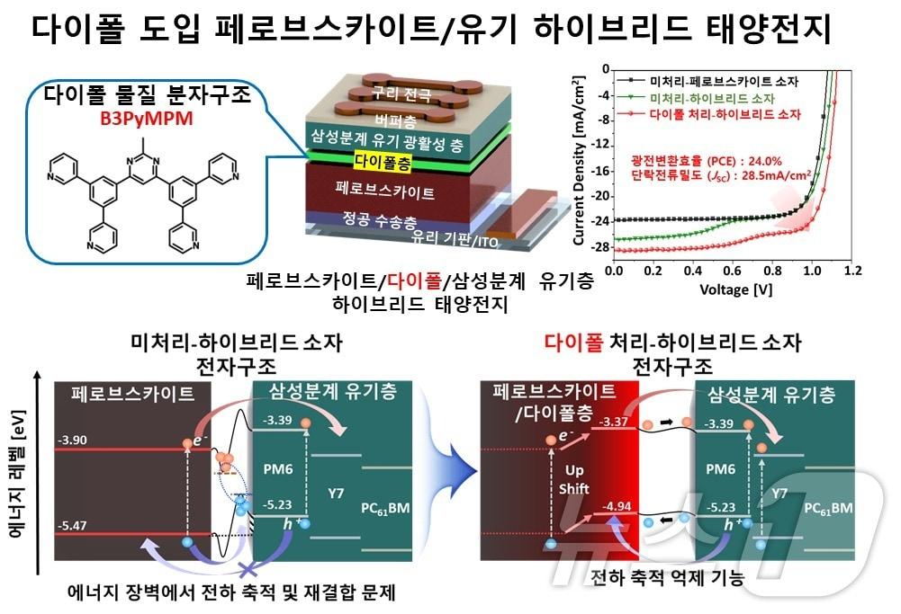 연구 모식도.&#40;KAIST 제공&#41;/뉴스1