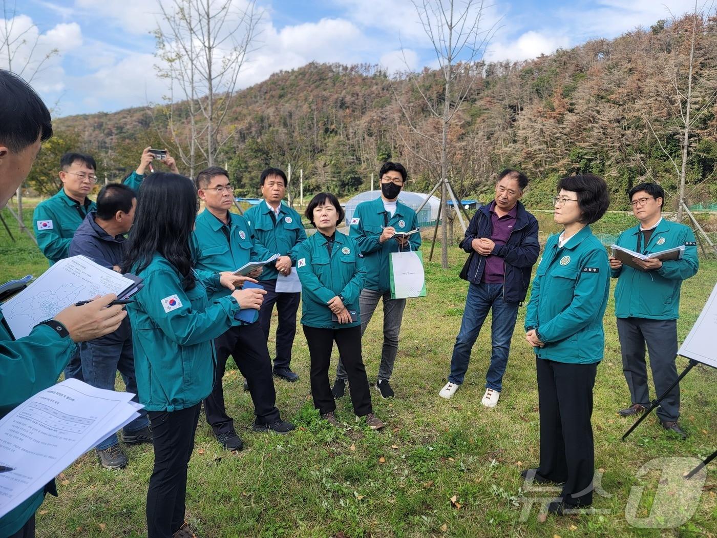 경주 소나무재선충병 피해지에서 열린 소나무재선충병 방제 현장간담회 모습. 맨 우측에서 2번째가 이미라 산림청 차장  &#40;산림청 제공&#41;/뉴스1