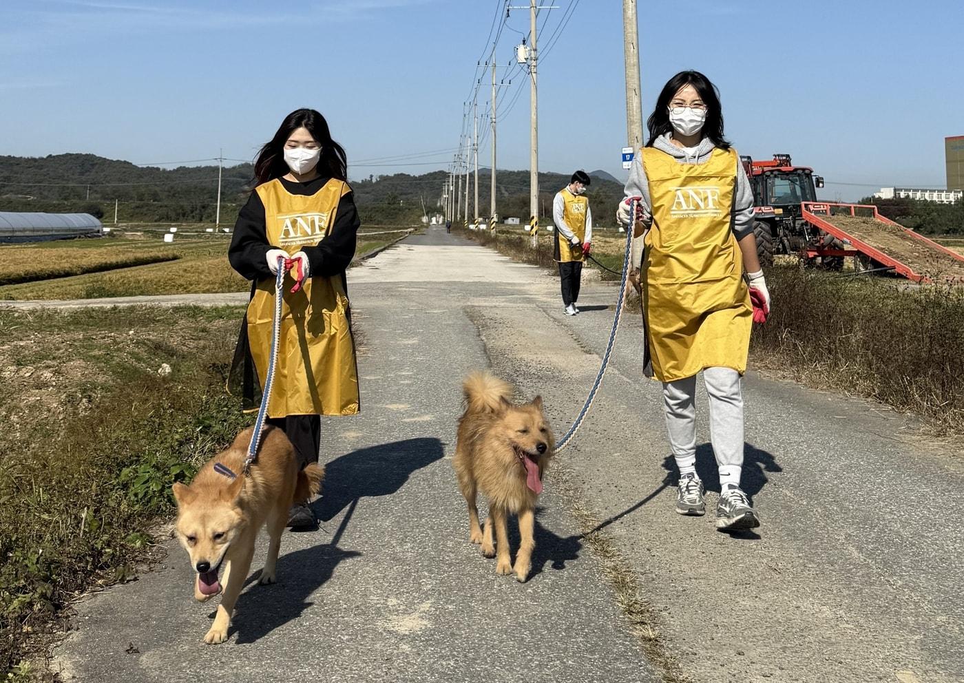 우리와주식회사가 최근 대한제분그룹 임직원과 함께 동물 보호소에 사료 기부 및 봉사활동을 진행했다. &#40;우리와 제공&#41; ⓒ 뉴스1