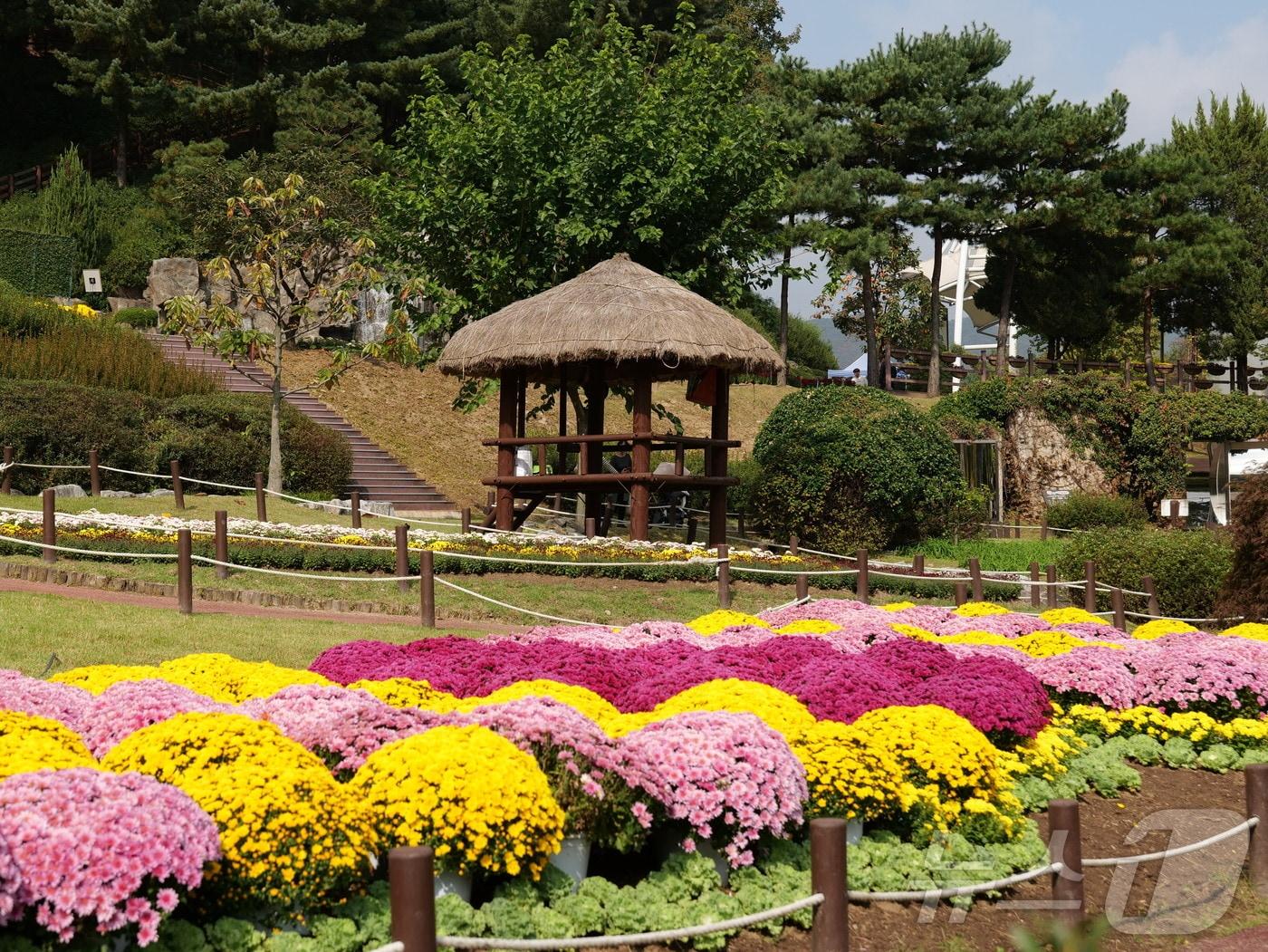 용인농촌테마파크의 가을 풍경.&#40;용인시 제공&#41;