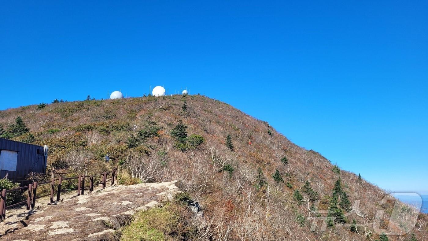 4일 설악산 일대에서 올해 첫 단풍이 관측됐다. 산림의 50%가 물드는 단풍 절정기는 오는 22일로 예년과 비교해 5일가량 늦어질 전망이다.&#40;설악산국립공원 제공&#41; 2024.10.4/뉴스1 ⓒ News1 윤왕근 기자