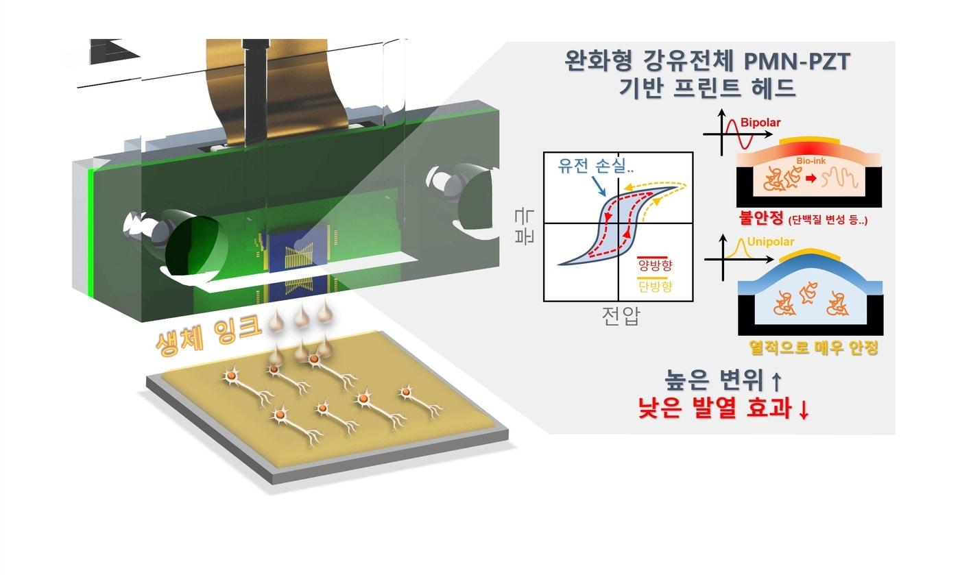 KIST 연구진이 개발한 바이오프린팅용 잉크젯 프린터 헤드 모식도&#40;한국과학기술연구원 제공&#41;