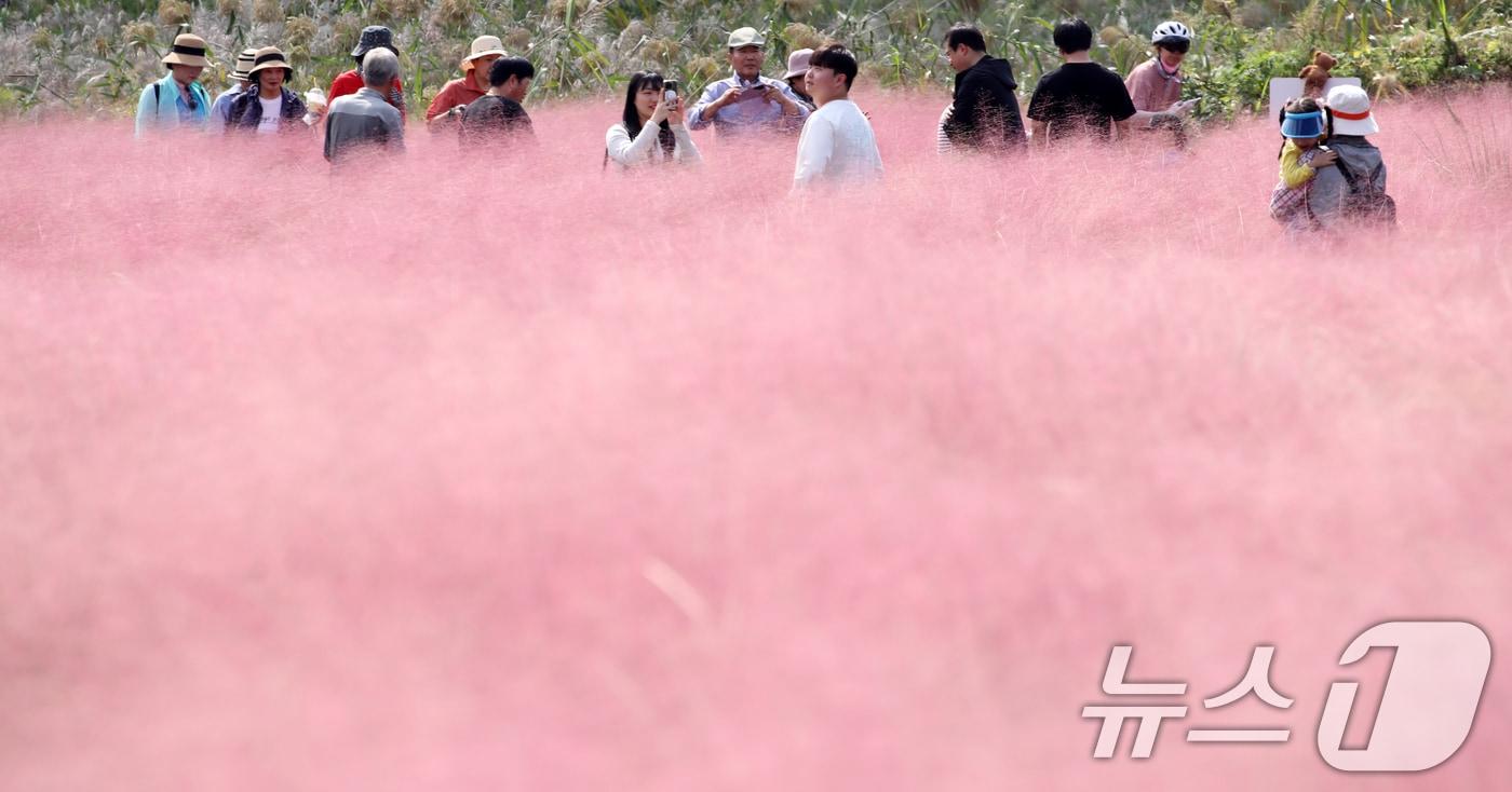 자료사진/뉴스1 ⓒ News1